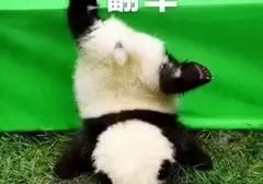 选择飞机杯怎么才能避坑不踩雷？杯龄5年老司机浅谈玩飞机杯这些年的感受