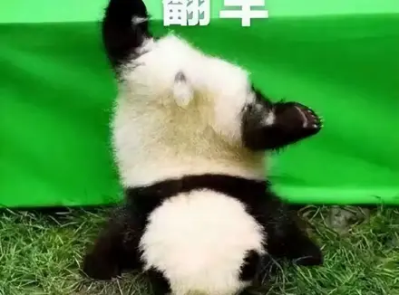 选择飞机杯怎么才能避坑不踩雷？杯龄5年老司机浅谈玩飞机杯这些年的感受