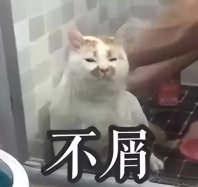 值得入手的飞机杯有哪些？5年老司机盘点最值得入手的几款飞机杯