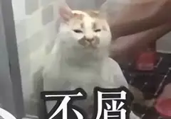 值得入手的飞机杯有哪些？5年老司机盘点最值得入手的几款飞机杯