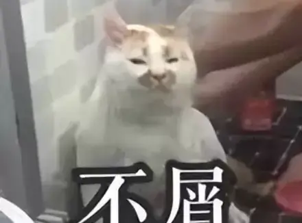 值得入手的飞机杯有哪些？5年老司机盘点最值得入手的几款飞机杯