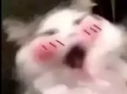 新手如何选择适合自己的飞机杯？避开无良商家老司机教你如何选择飞机杯