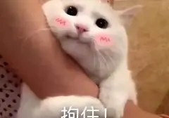 飞机杯正确使用方法你知道吗？老玩家告诉你飞机杯怎么用起来最爽