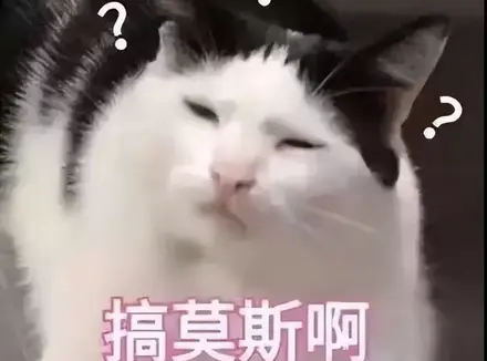 飞机杯和真人实战究竟哪个更爽？使用飞机杯3年的老司机说各有各的好