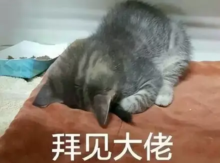 老司机眼里的飞机杯竟是这样的存在？我身边的朋友也都入坑飞机杯了