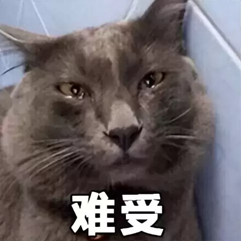 飞机杯怎么挑到合适的？挑对飞机杯体验胜过实战结果老司机来告诉你