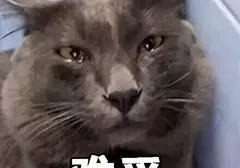 异地恋的人如何使用飞机杯？分享个人在异地是怎么选择使用飞机杯的经验