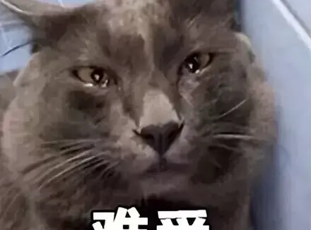 这就是第一次使用飞机杯的体验吗？初次体验的飞机杯就是YUU软萌酱