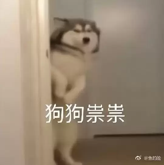 你对飞机杯了解多少？史上最全飞机杯避坑指南这些知识新人必须了解