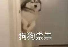 你对飞机杯了解多少？史上最全飞机杯避坑指南这些知识新人必须了解
