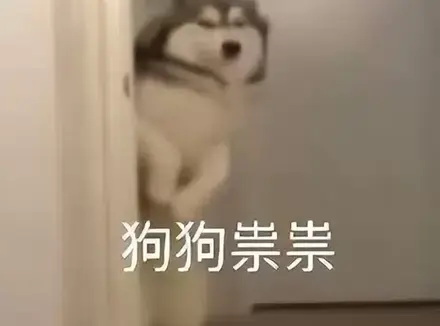 你对飞机杯了解多少？史上最全飞机杯避坑指南这些知识新人必须了解