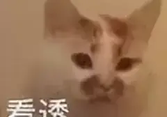 使用飞机杯有什么好处？老司机分享科普使用三个飞机杯的好处新手必看