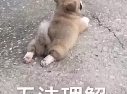 女友送我飞机杯是不是觉得我没用？女朋友给我送飞机杯我是不是被羞辱了