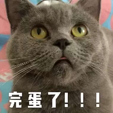 想不到使用飞机杯有奇效？用飞机杯真的能延时让自己回到巅峰期