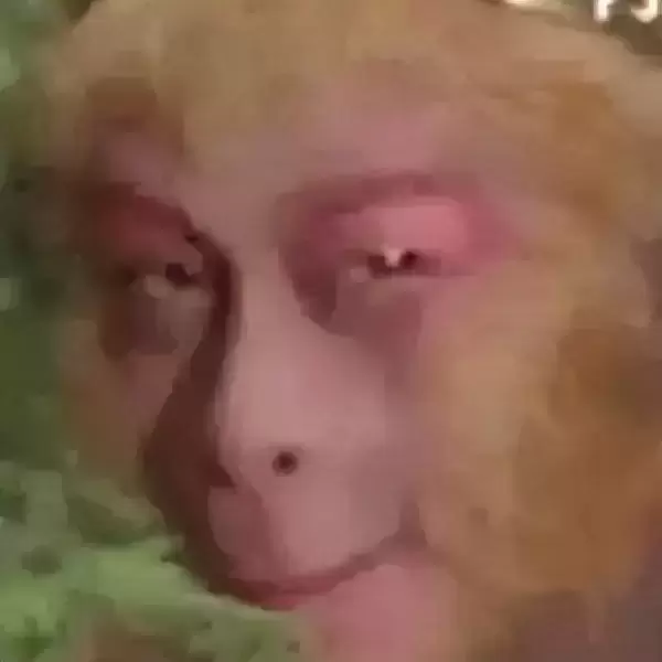 选择困难症不知道怎么选飞机杯？玩杯数年老司机分享他选择飞机杯的诀窍