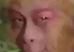 选择困难症不知道怎么选飞机杯？玩杯数年老司机分享他选择飞机杯的诀窍