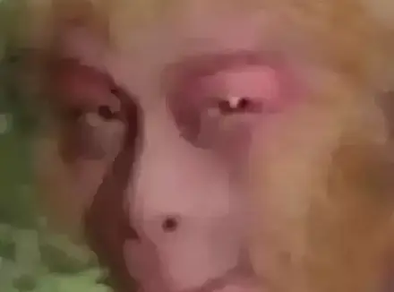 选择困难症不知道怎么选飞机杯？玩杯数年老司机分享他选择飞机杯的诀窍