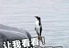 为什么要选择飞机杯而不用手？使用飞机杯能够坚持半小时的猛男告诉你
