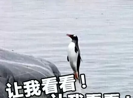 为什么要选择飞机杯而不用手？使用飞机杯能够坚持半小时的猛男告诉你
