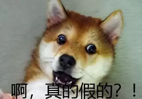 飞机杯不是用来帮你撸的吗？飞机杯同样可以达到锻炼能力延时的效果