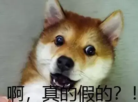 飞机杯不是用来帮你撸的吗？飞机杯同样可以达到锻炼能力延时的效果