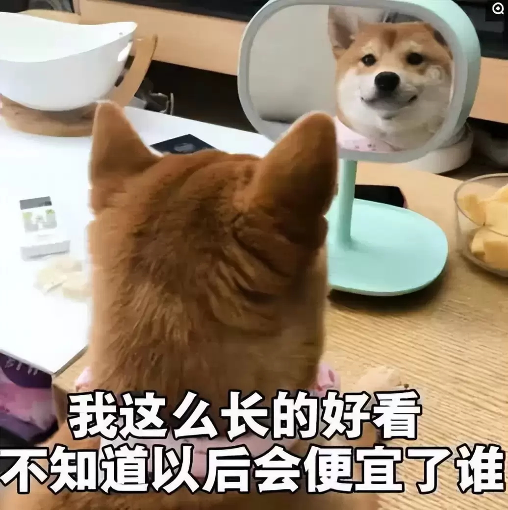 价格参差不齐的飞机杯该如何挑选适合自己的？老司机分享选好飞机杯品牌