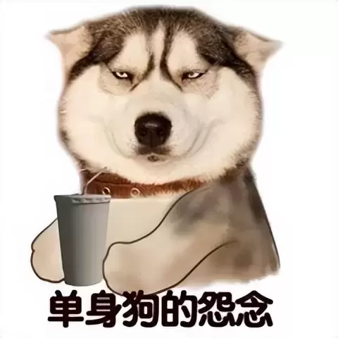 节假日不出门选择和飞机杯一起？今年七夕不出意外我会和飞机杯度过