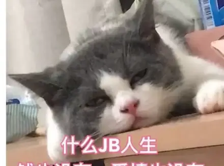 有女朋友的我为什么还对飞机杯情有独钟？使用飞机杯的一个好处是可以锻炼