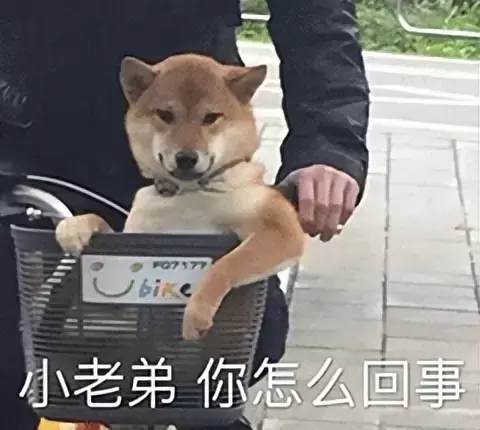 你真的不挑选一个适合自己的飞机杯吗？从物理角度上来讲飞机杯比真人更刺激