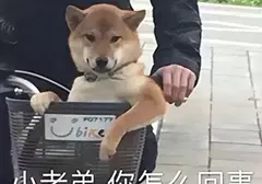 你真的不挑选一个适合自己的飞机杯吗？从物理角度上来讲飞机杯比真人更刺激
