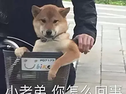 你真的不挑选一个适合自己的飞机杯吗？从物理角度上来讲飞机杯比真人更刺激