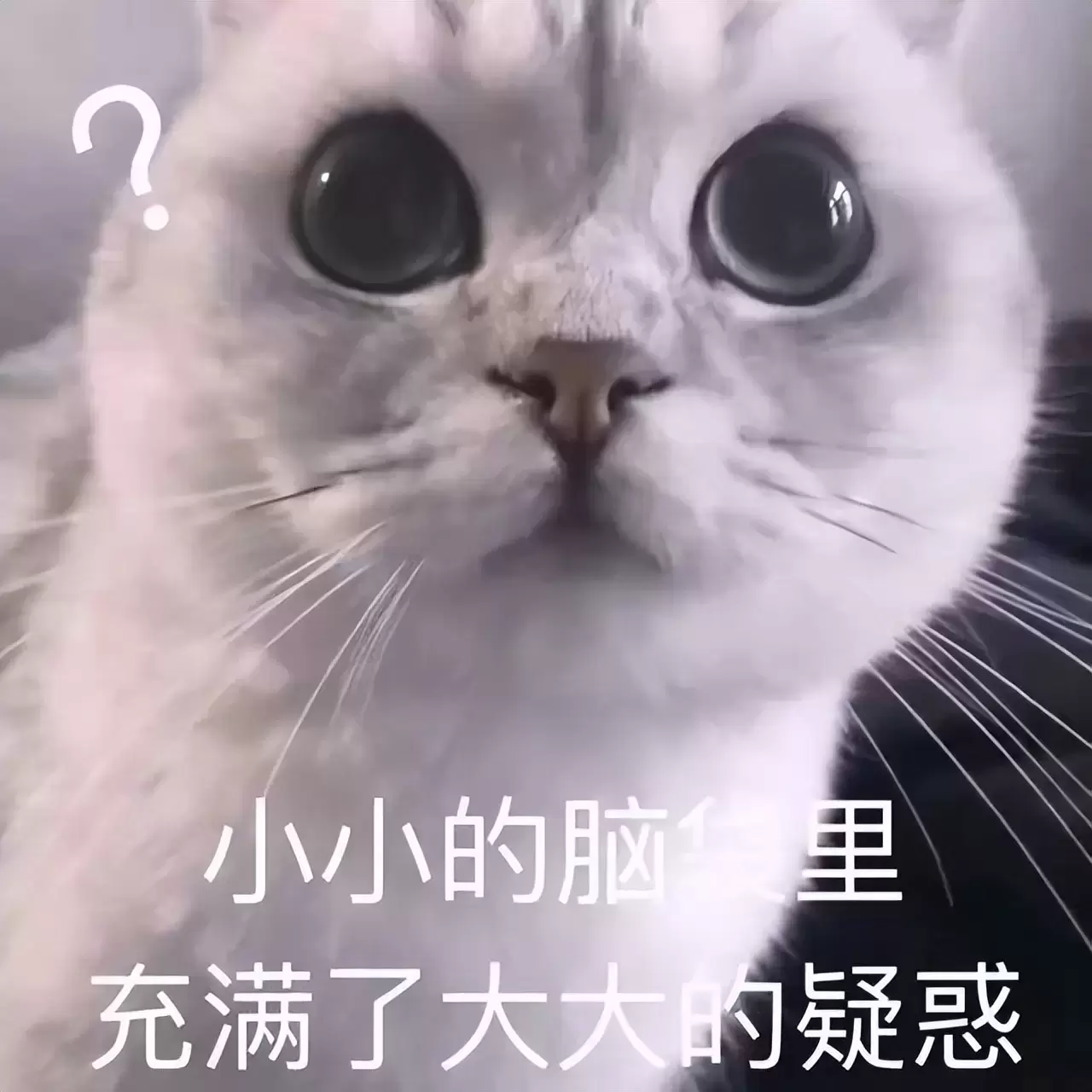 有一个能让你变得持久的飞机杯是种什么样的体验？老司机分享飞机杯使用体验