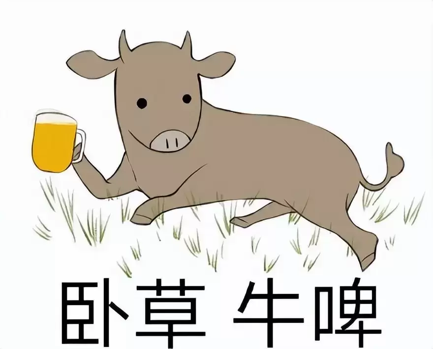 飞机杯贵为啥还有人买？老司机教你如何挑选一款适合自己的飞机杯