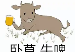 飞机杯贵为啥还有人买？老司机教你如何挑选一款适合自己的飞机杯