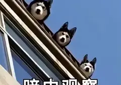 飞机杯怎么锻炼时长？关于提高时长科普使用飞机杯时锻炼敏感度的技巧分享