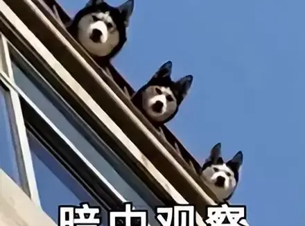 飞机杯怎么锻炼时长？关于提高时长科普使用飞机杯时锻炼敏感度的技巧分享