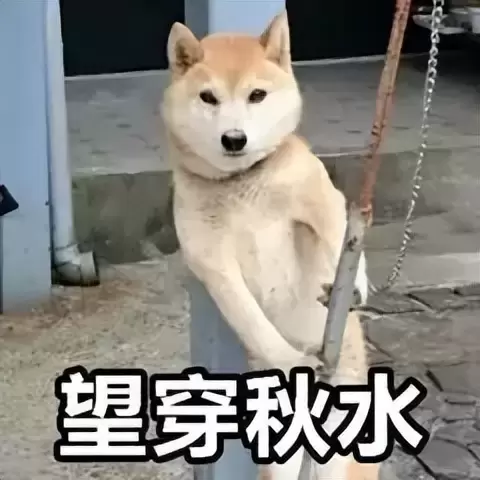 秒男怎么使用飞机杯锻炼？分享我如何使用飞机杯把实战从三秒提到三十分钟