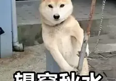 秒男怎么使用飞机杯锻炼？分享我如何使用飞机杯把实战从三秒提到三十分钟