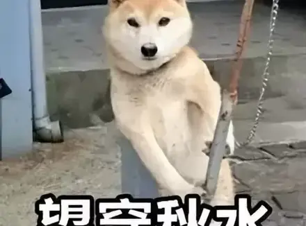 秒男怎么使用飞机杯锻炼？分享我如何使用飞机杯把实战从三秒提到三十分钟