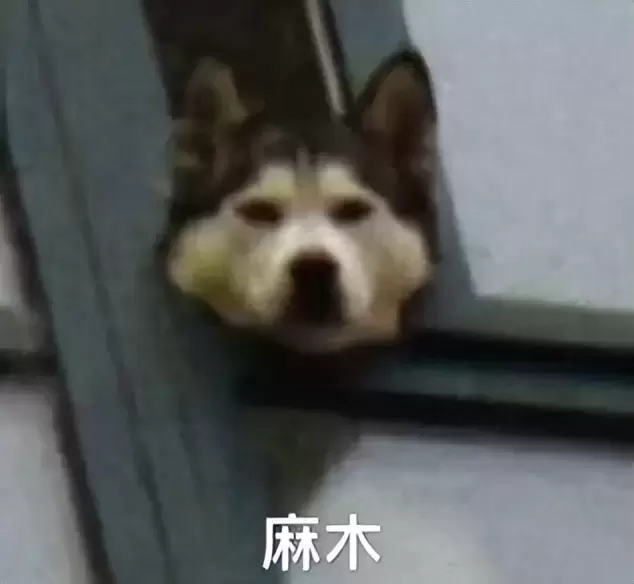 飞机杯锻炼靠谱吗？给没入手过杯子的和手用多了的兄弟科普飞机杯挑选指南