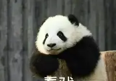 选择飞机杯时要注意什么？科普选择飞机杯时避坑不踩雷的四个重要因素
