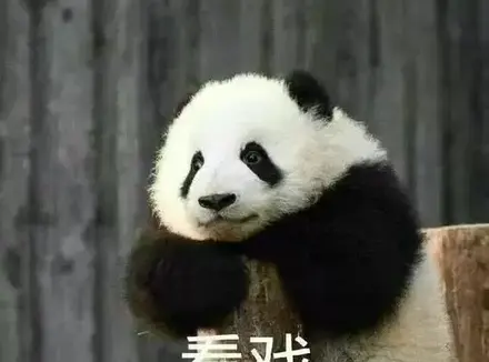 选择飞机杯时要注意什么？科普选择飞机杯时避坑不踩雷的四个重要因素