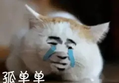 飞机杯真的好用吗？真的十分建议没用过飞机杯也没对象的同胞试着买一个