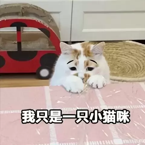 使用飞机杯应该有负罪感吗？飞机杯的发明就是为了让人产生于愉悦感的