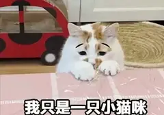 使用飞机杯应该有负罪感吗？飞机杯的发明就是为了让人产生于愉悦感的