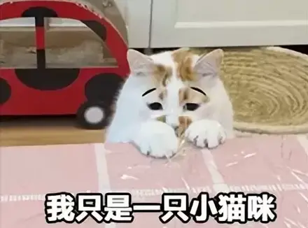 使用飞机杯应该有负罪感吗？飞机杯的发明就是为了让人产生于愉悦感的