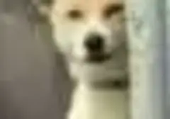 为什么坚持使用飞机杯这么久？玩杯三年老玩家谈一谈自己的飞机杯使用经厉