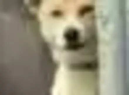 为什么坚持使用飞机杯这么久？玩杯三年老玩家谈一谈自己的飞机杯使用经厉