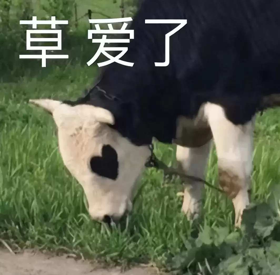 飞机杯的玩法技巧有哪些？科普四个你绝对想知道飞机杯玩法技巧分享