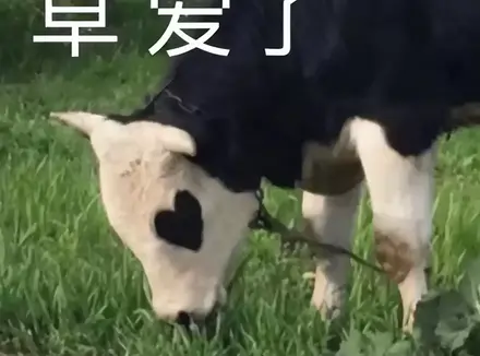 飞机杯的玩法技巧有哪些？科普四个你绝对想知道飞机杯玩法技巧分享